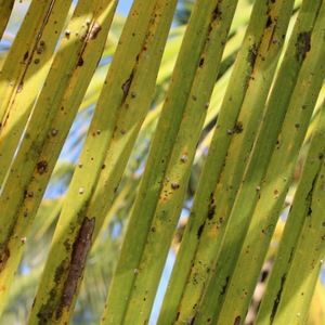 Meet your Posher, Lucy